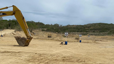 planta maraseo 2 web