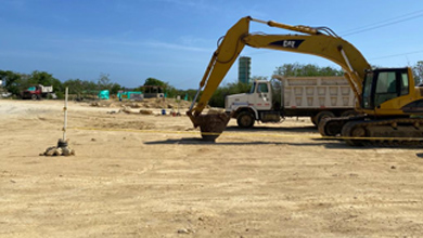 planta maraseo web